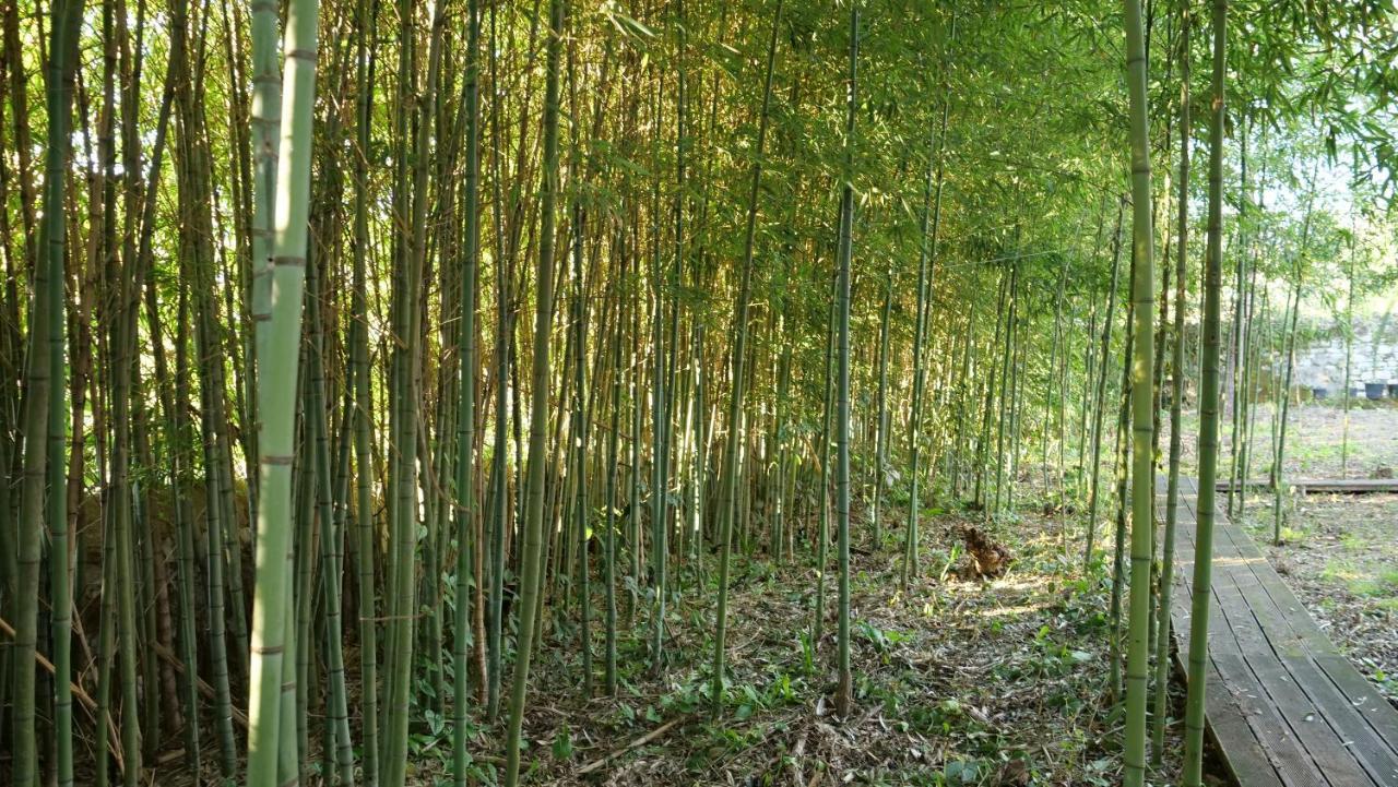 Heron'S Path I Analipsis  Ngoại thất bức ảnh